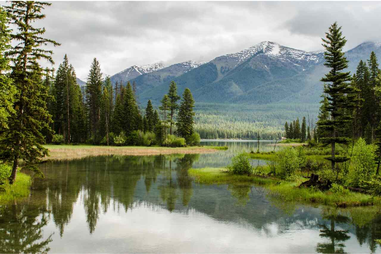 Serene lake surrounded by lush green trees, reflecting the sky and mountains in the water.